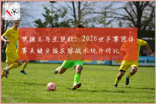 樊振东与王楚钦：2026世乒赛团体赛关键分接发球战术统计对比