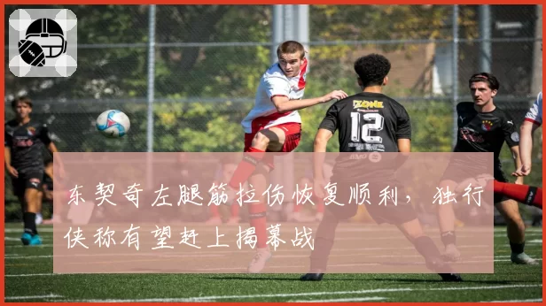 东契奇左腿筋拉伤恢复顺利，独行侠称有望赶上揭幕战