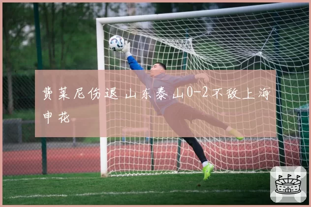 费莱尼伤退 山东泰山0-2不敌上海申花
