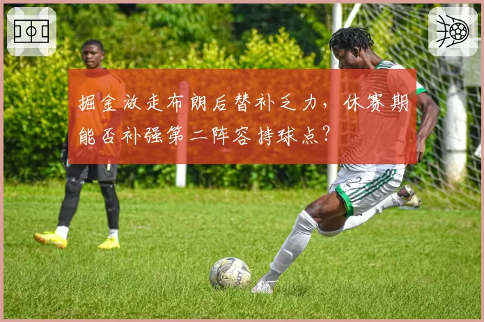 掘金放走布朗后替补乏力，休赛期能否补强第二阵容持球点？