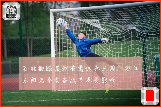 孙铭徽膝盖积液需休养三周，浙江东阳光季前备战节奏受影响